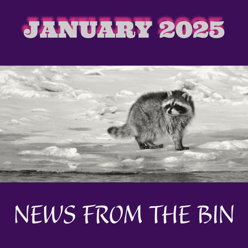 Hello from the endless depths of&nbsp;January